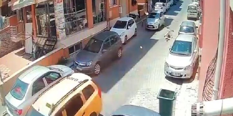 Sürüklediği sürücünün ölümüne neden oldu