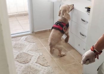 9 kilogram uyuşturucu Çaki’ye takıldı