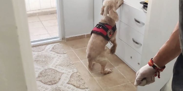 9 kilogram uyuşturucu Çaki’ye takıldı