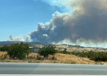 Çanakkale’de orman yangını