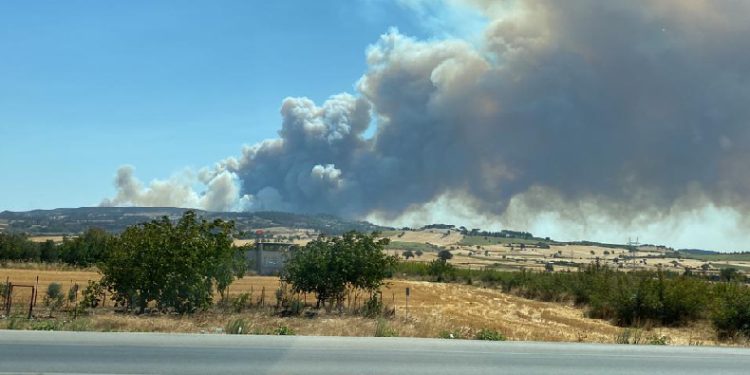 Çanakkale’de orman yangını