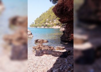 Kampçı sahilde ölü bulundu