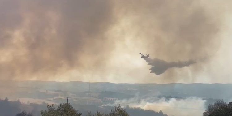 Yangın rüzgarın etkisiyle yeniden alevlendi