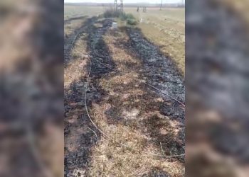 Elektrik telleri tarlada yangın çıkardı