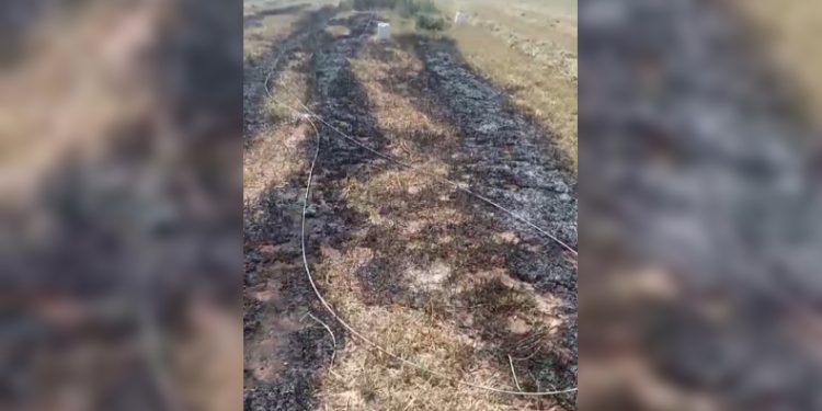 Elektrik telleri tarlada yangın çıkardı