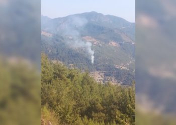 Feke de orman yangını