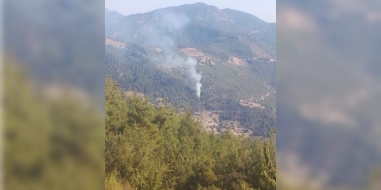 Feke de orman yangını