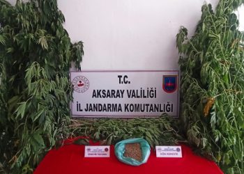 Esrar üretimi yapan şüpheli yakalandı