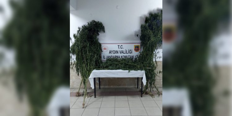 Nazilli’de uyuşturucu operasyonu