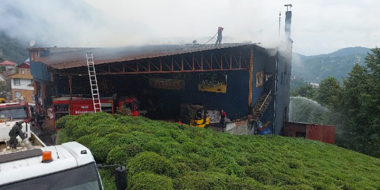 Rize’de çay fabrikasında yangın çıktı