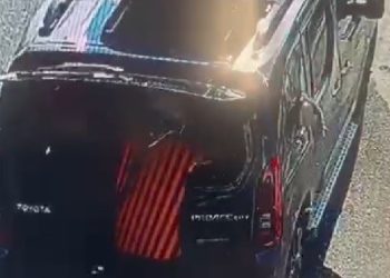 Kedi camı kafasıyla kırıp kaçtı