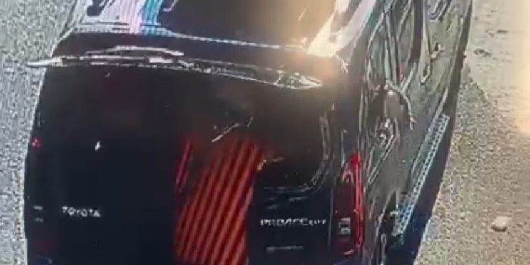 Kedi camı kafasıyla kırıp kaçtı