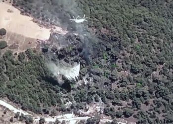 Muğla-Aydın sınırında yangın