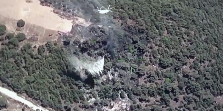 Muğla-Aydın sınırında yangın