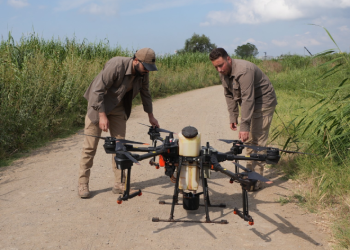 Bursa’da drone ile sinek avı
