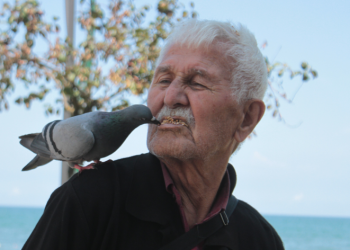 Ağzıyla güvercin besliyor