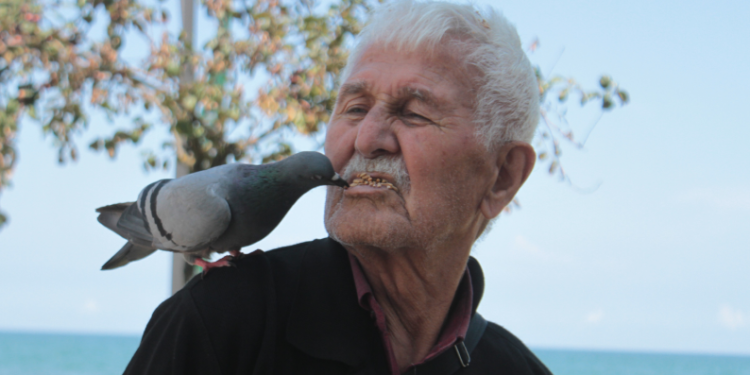 Ağzıyla güvercin besliyor