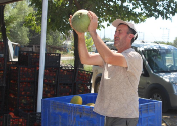 Sebze ve meyveler il dışına satılıyor