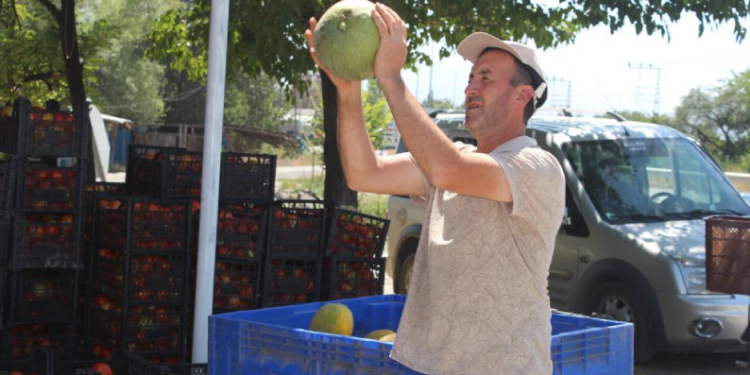 Sebze ve meyveler il dışına satılıyor