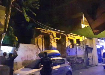 Polisten kaçan şüpheli ağaca çıktı