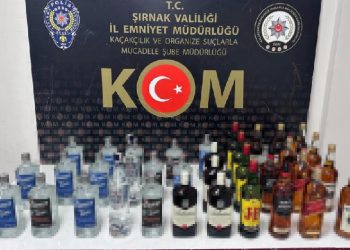 Şırnak’ta asayiş ve kaçakçılık operasyonu