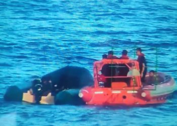 Aydın’da 18 düzensiz göçmen yakalandı