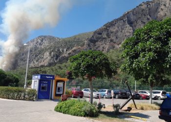 Milas’ta orman yangını