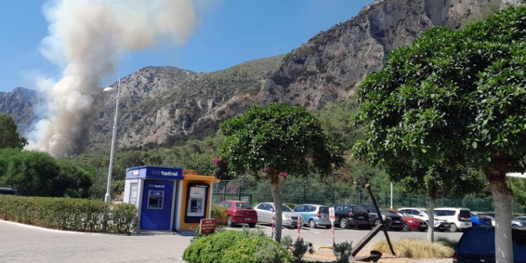 Milas’ta orman yangını