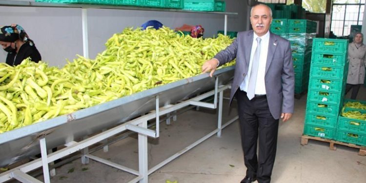 Bu pazarda fiyatı çiftçi belirleyecek