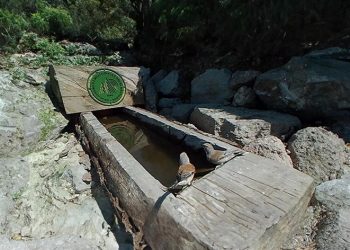 Ormanlık alanlarda 18 gölet ve 900’ü aşkın yalak oluşturuldu