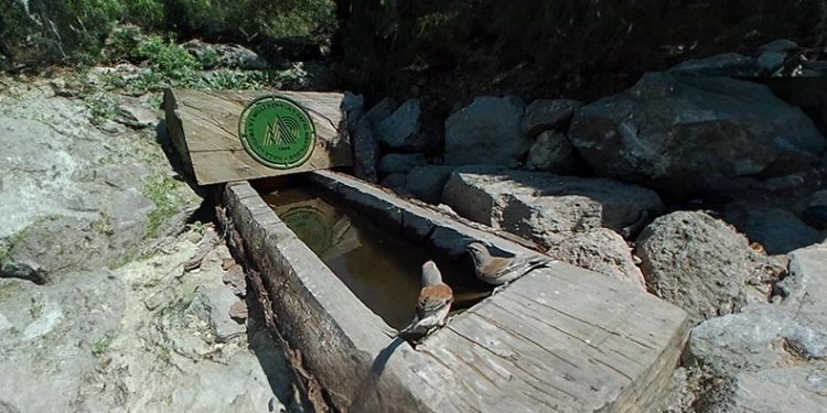 Ormanlık alanlarda 18 gölet ve 900’ü aşkın yalak oluşturuldu