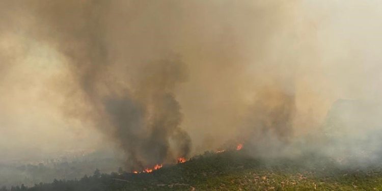 Çanakkale’de orman yangını: 1 köy boşaltıldı