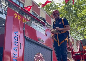 Anıt ağaçta mahsur kalan kuşu itfaiye ekipleri kurtardı