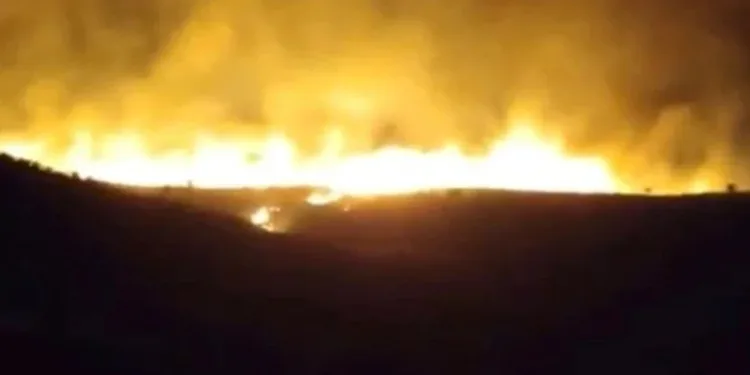 Karacadağ Bal Ormanı’nda yangın