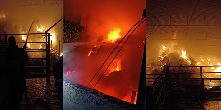 Ahırda çıkan yangında samanlar küle döndü