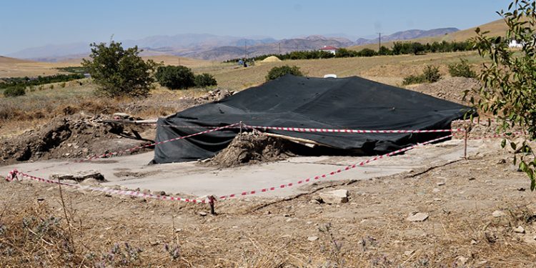 Tarlada heyecanlandıran keşif