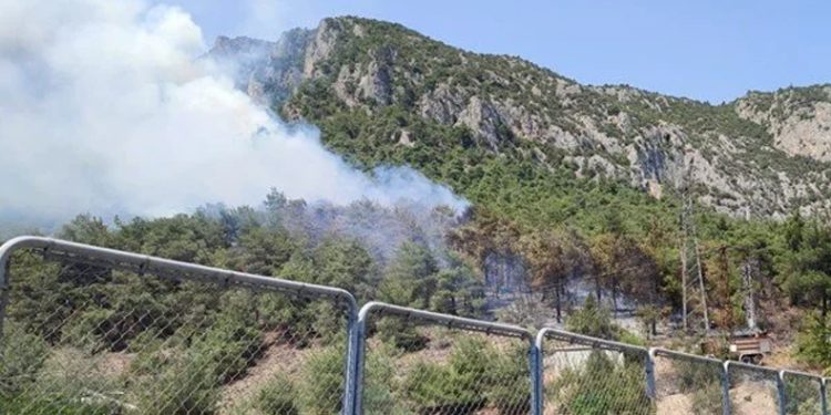 Bilecik’te orman yangını