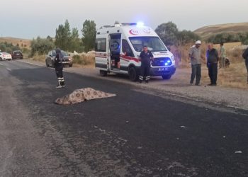 Sivas’ta trafik kazası: 1 ölü