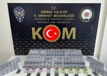 Şırnak’ta asayiş ve kaçakçılık operasyonu