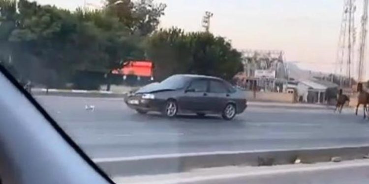 Çevre yolunda başıboş at otomobile çarptı