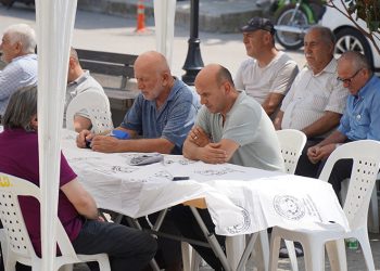 Bolu’da ineklerin serinleme keyfi