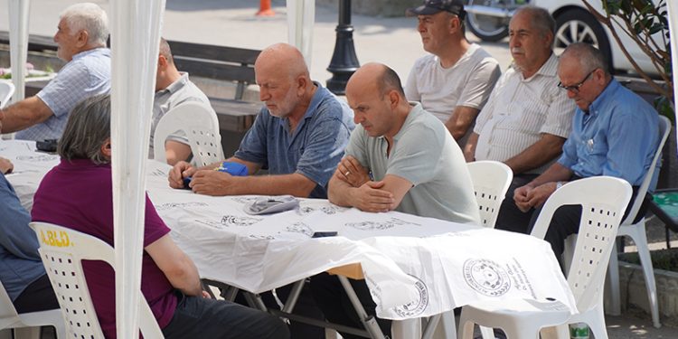 Bolu’da ineklerin serinleme keyfi