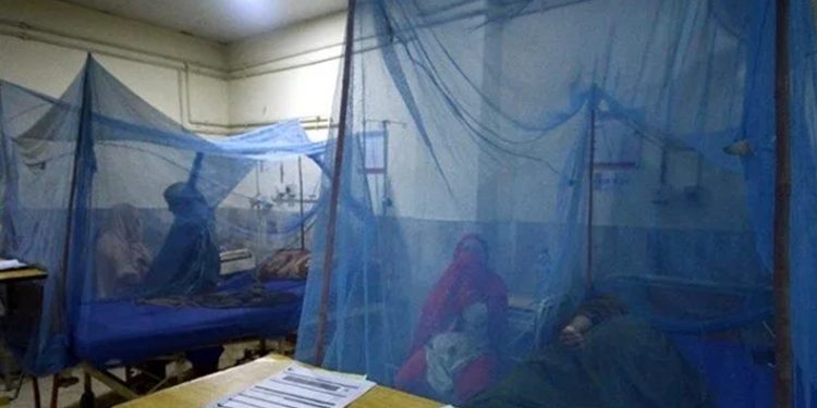 Dang hummasından ölenlerin sayısı arttı