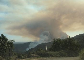 Orman yangının dumanı kenti kapladı