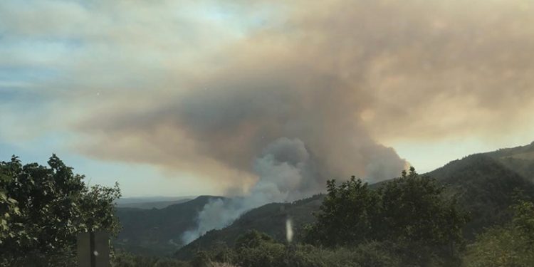 Orman yangının dumanı kenti kapladı