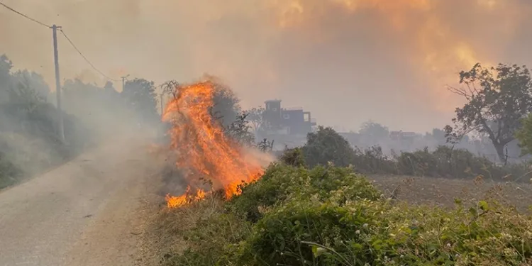 Çanakkale valiliğinden uyarı