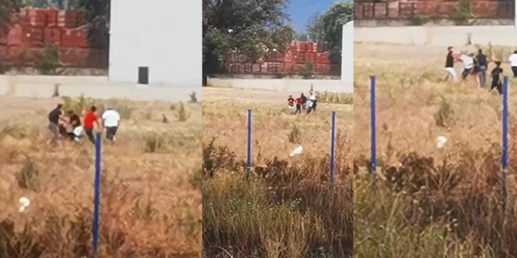 Tarlada çıkan yangın ortalığı boks ringine çevirdi.