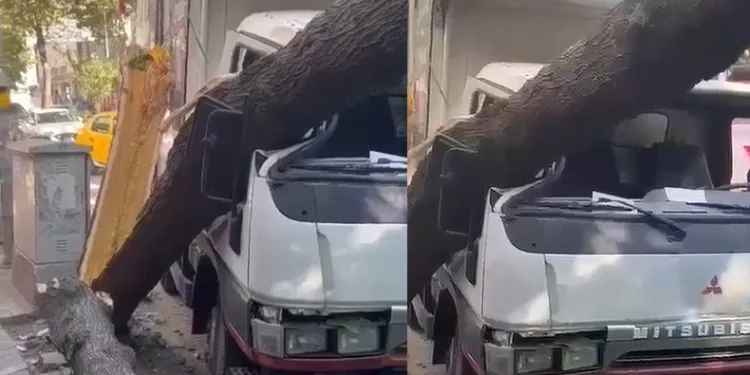 Bursa’da ağaç kamyonetin üzerine devrildi