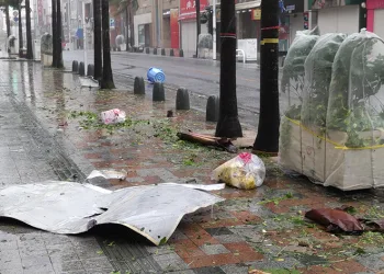 Japonya’yı Khanun Tayfunu vurdu