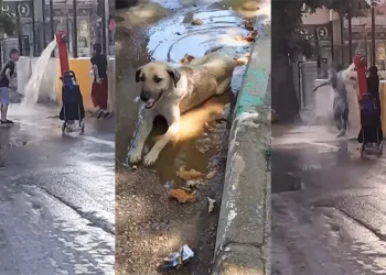 Serinlemek için yangın vanasını açıp duş aldılar